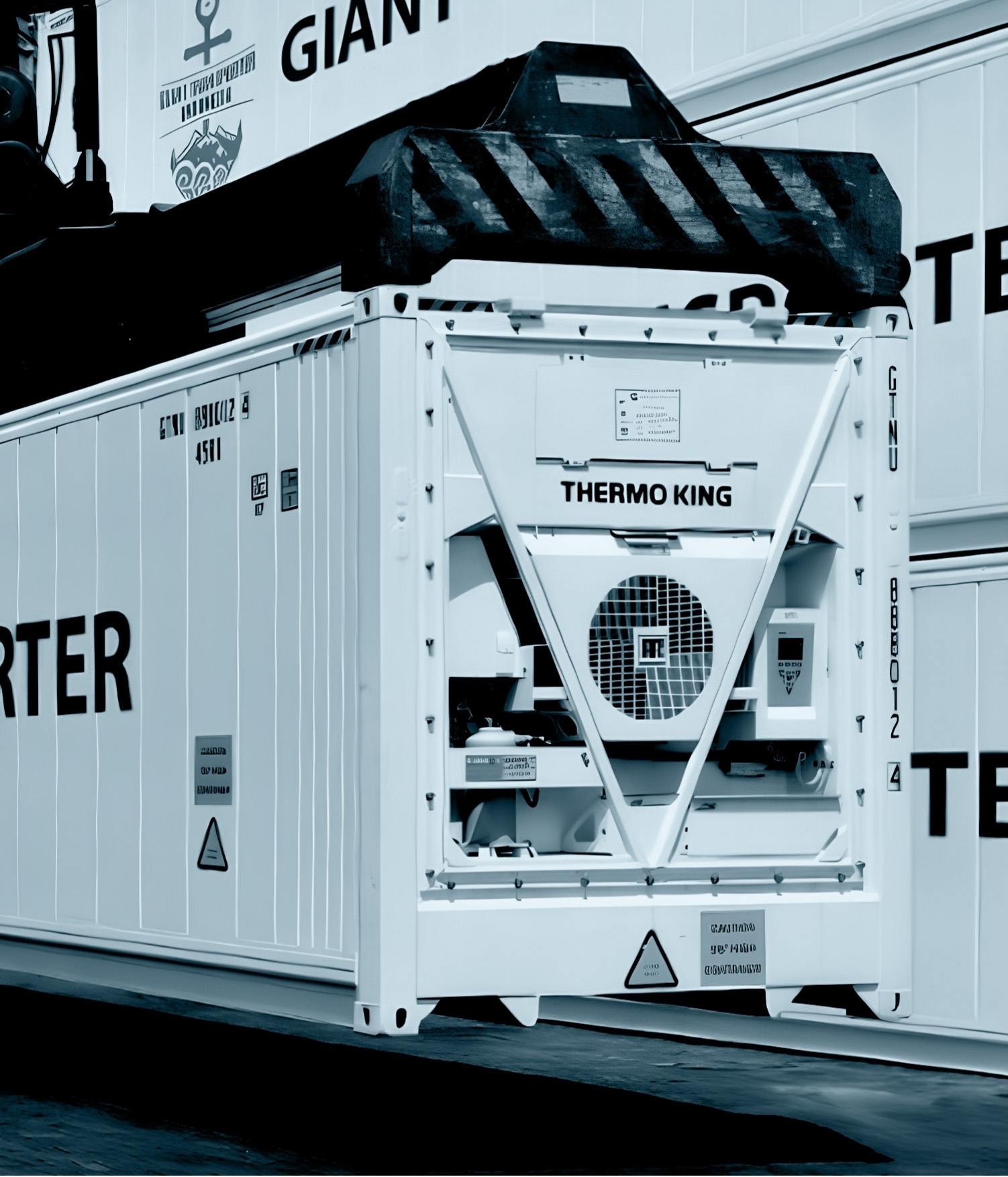 Refrigerated container transport for perishable and temperature-sensitive cargo