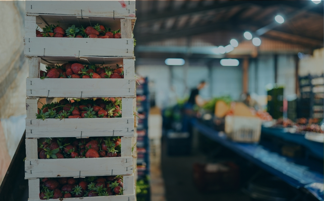 Logistics insights resources and cold chain industry articles